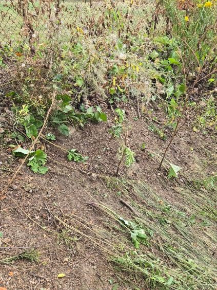 Emergency cleanup and disaster recovery field response